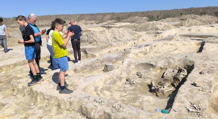 Kincsvadász gyerekek lepték el a mocsai ásatást: különleges leletre bukkant egy kisfiú