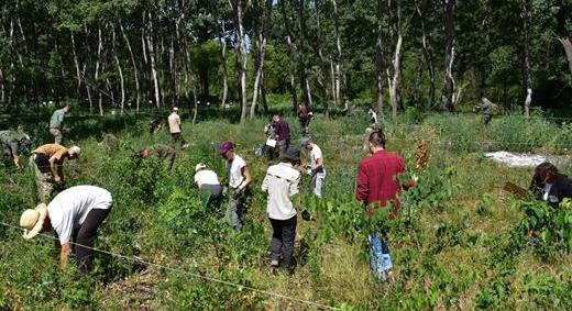 Biodiverzitástól a Bioblitzig: különleges természetvédelmi projekt fut Dunavecsén