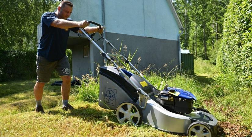 Állandóan rövidre nyírod a füvet? Mutatjuk, miért ne tedd!