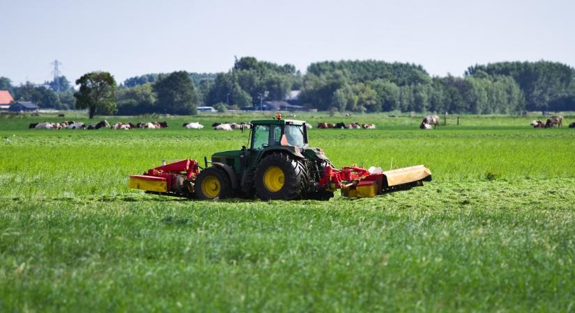 Borzalmas állapotban lévő holttestre bukkantak kaszálás közben, nyomoz a rendőrség