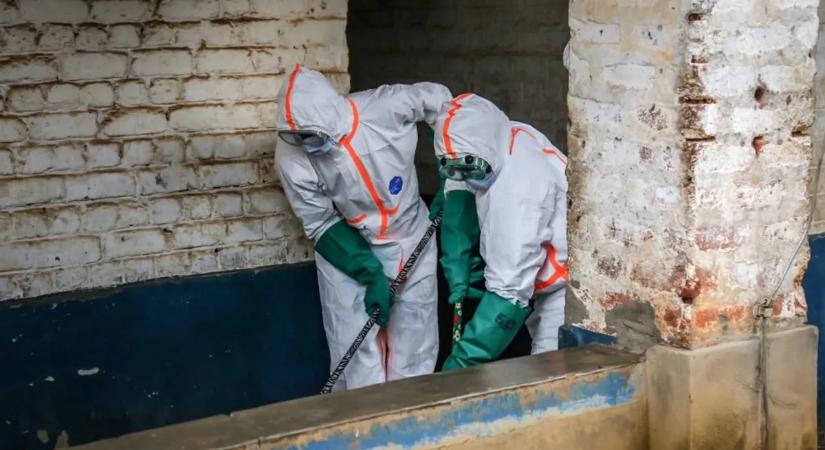 Újra retteg a világ az ebolától: nincs védelem a ritka variáns ellen