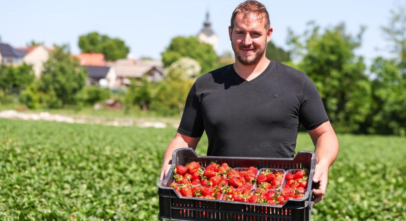 A vörös gyémántok földje: miért hagyta ott Németországot a zalai gazda? (galéria)