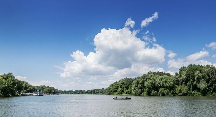 Sok a kérdőjel a titokzatos Tisza-tavi ragadozó körül – Nem tudják beazonosítani az állatot – fotóval