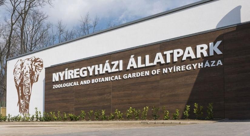Szomorú hír: elpusztult a SóstóZoo ikonikus állata
