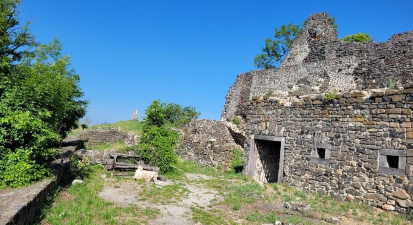 Matuzsálemek mentén jártunk: Tátika, Sztúpa és virágos rétek (sok-sok fotóval)