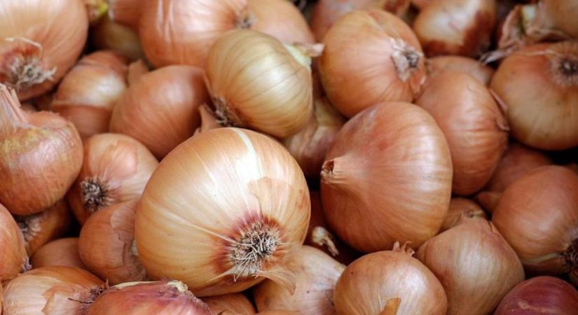Ez az oka, ha kicsírázik a hagyma – és így hozhatod helyre a hibát!