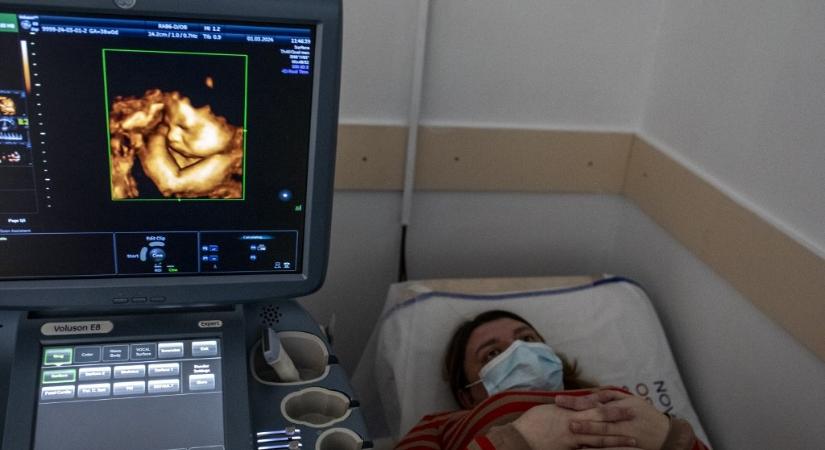 Csecsemők, akiket hátra hagytak és jogi vákumban ragadtak – a béranyaság legsötétebb oldala