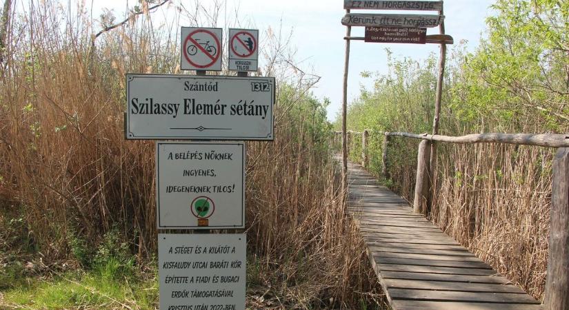Titkos balatoni strandot, lépcsőt és kilátót mutatunk, a közösségi barkácsolás eredményei (galéria)