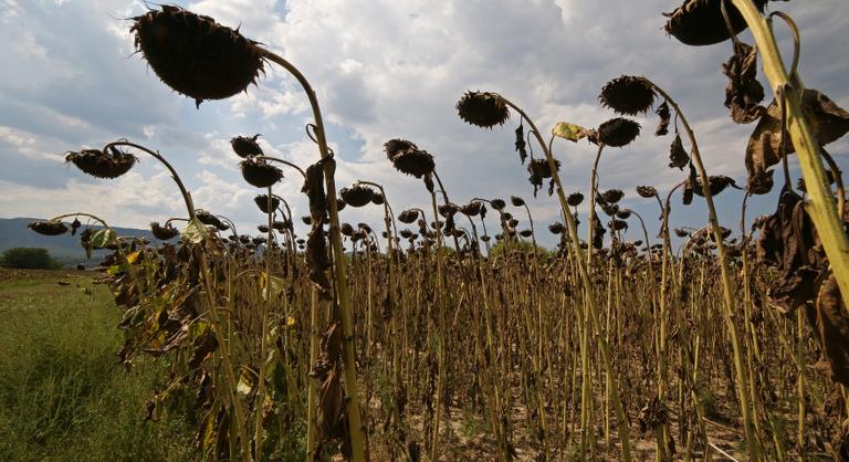 Frontális támadást indított a gazdaszervezet, lépést várnak a Tisza-kormánytól