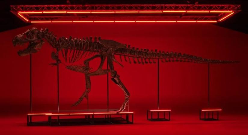 Évtizedekig nevettek rajta, most kiderült az igazság a T. rex apró karjairól