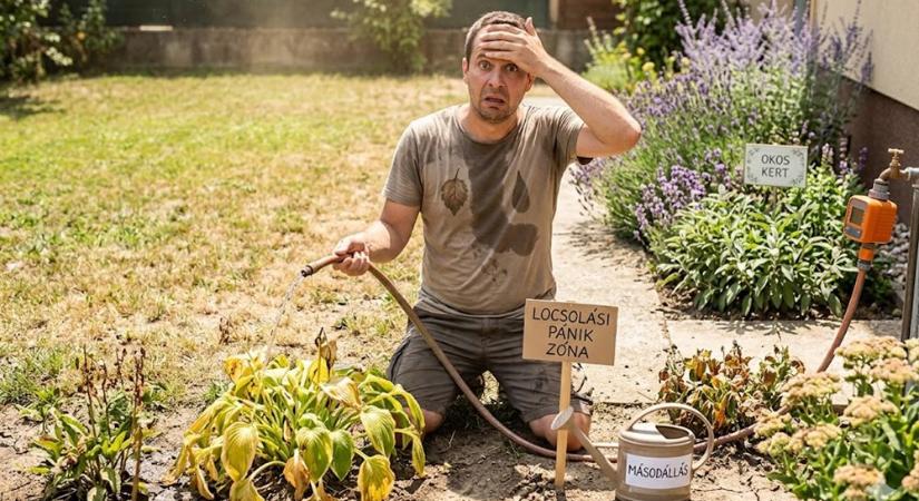 Szép kert locsolási pánik nélkül? Ezekkel a cserékkel kezdődik