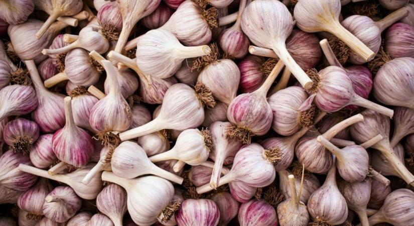Fokhagyma tárolása: így marad sokáig aromás és ép