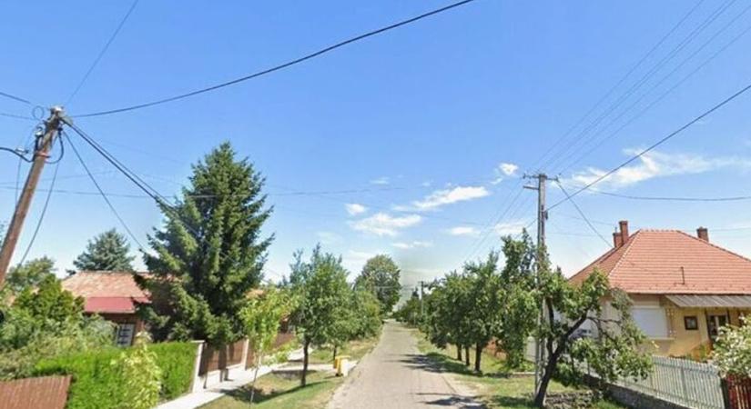 Éveken át gyűjtögetett a füzesabonyi nő, bíróság elé áll miatta