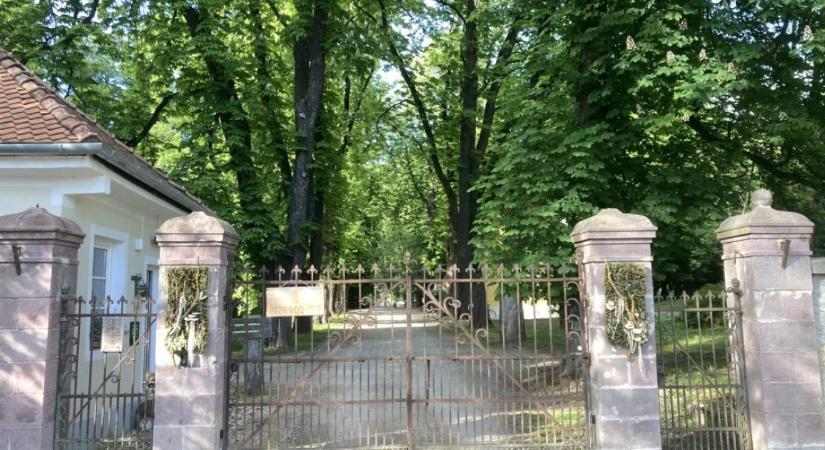 Kegyelmi ügy: a 444.hu felkereste Kónya Endre édesanyját, hogy jobban megértsék Lévai Anikó szerepét