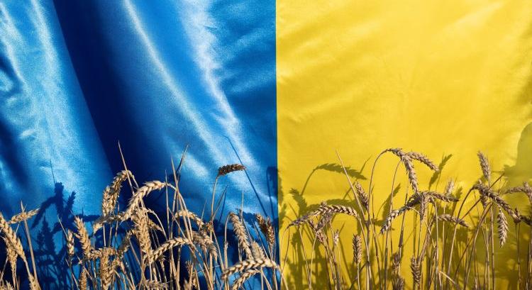 Ukrán agráráru: keményebb kontroll jön