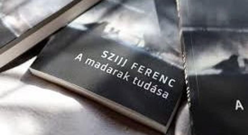 Kvantumi beszéd