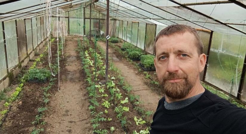 41 trükk a tarjáni kertésztől, így éli túl a legnagyobb kánikulát a paradicsomod