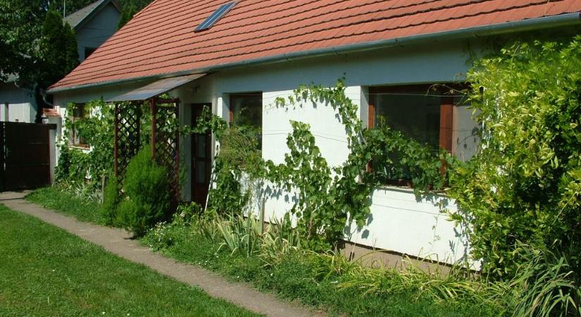 Extra alacsony rezsivel járhat, ha ilyen házat veszel: a falusi CSOK-kal is hozzájuthatsz