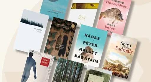 Ebből a tíz könyvből kerül ki az idei Merítés-díjas