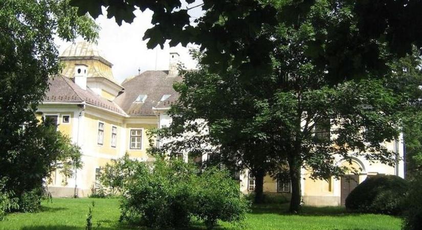 Kétségbeesetten keresi a gazdáját Tiszaújvárosban – Te felismered, kié lehet?