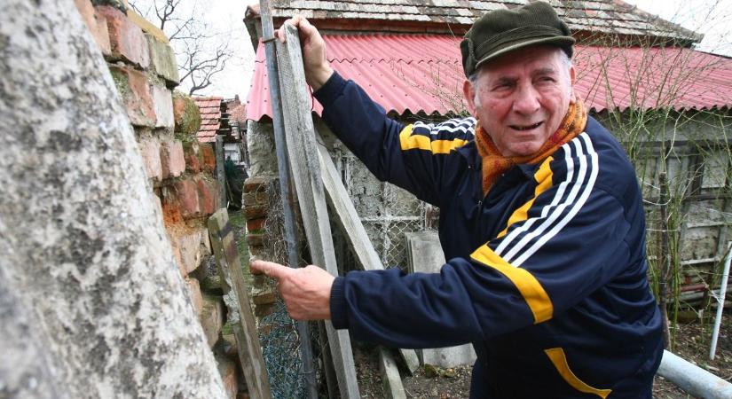 Szomszédháború már simán lehet egyetlen faág miatt is