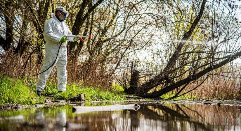 Granulátumot szórnak a levegőből, a földről permeteznek az ország több pontján