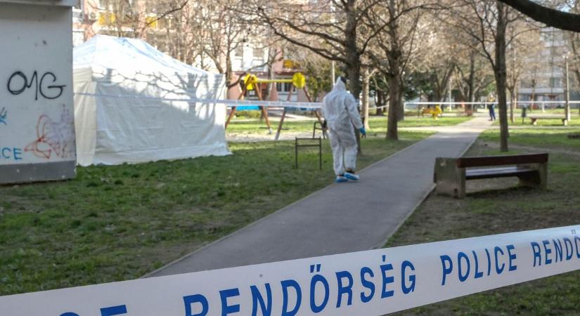 A szentlőrinci szörnyűség után itt az újabb tragédia: kiesett egy nő a 10. emeletről a lakótelepen