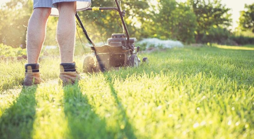 Megérheti a burjánzó kert, okkal parkoltatnák sokan a fűnyírót