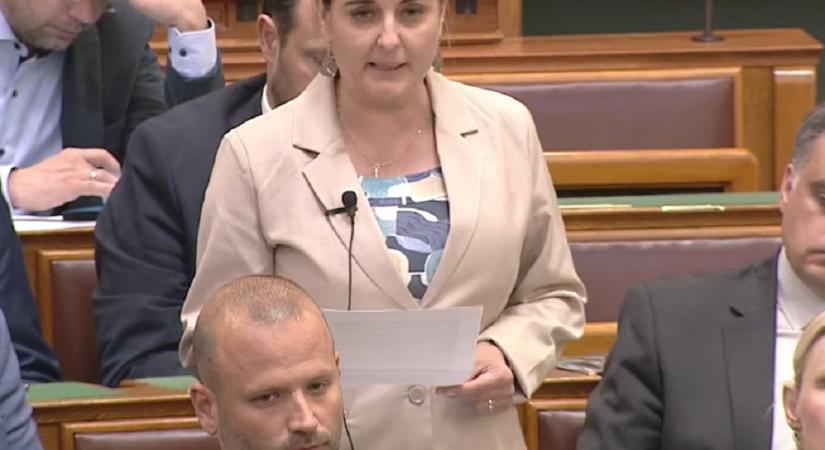 Így kell ezt csinálni: Máthé Zsuzsa nem hagyta, hogy Magyar Péter pocskondiázza