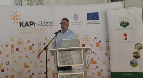 Ez a betegség már soha nem fog eltűnni Magyarországról