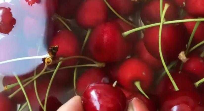 Csak 1 kanál kell ebből a vízbe, és azonnal elmenekülnek a kukacok a cseresznyéből
