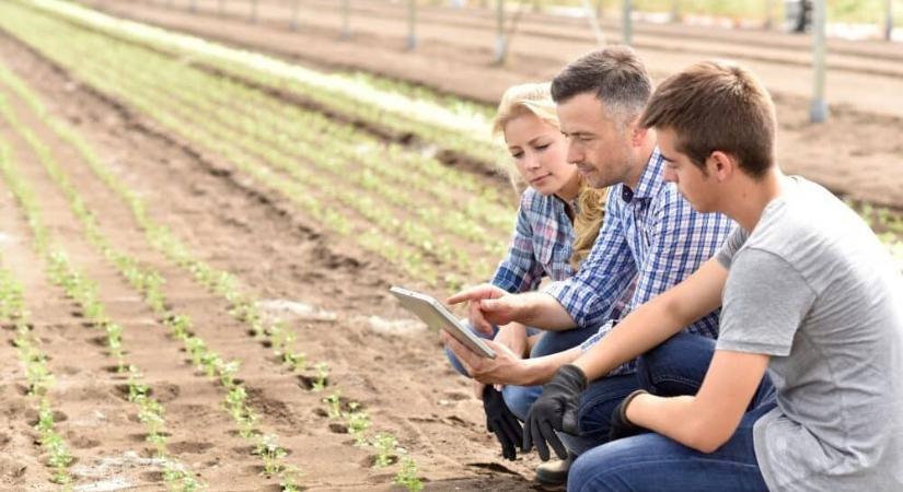 Nem lesz, aki dolgozzon? Az agrárium már nem elméletben keresi a választ