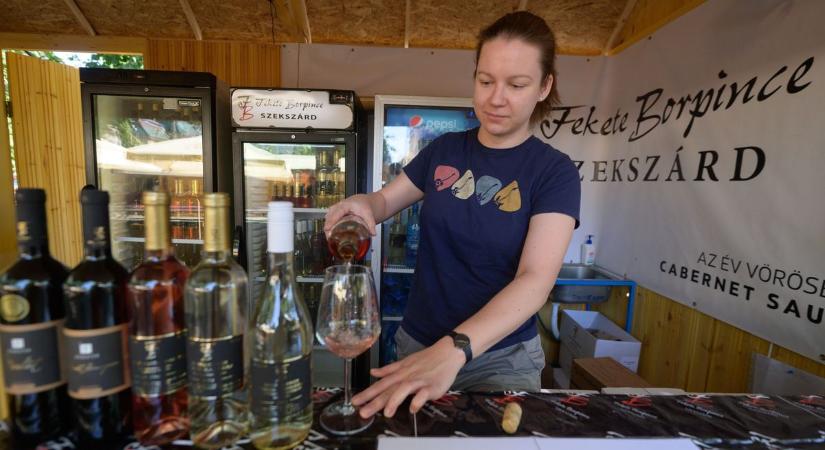 Hosszú sorok, teli poharak és elégedett borászok a Szegedi Borfesztiválon