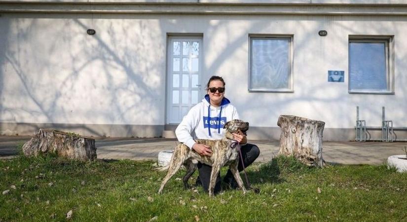 Mindenkinek jár egy második esély! Egyeken csúcsra jár a segítségnyújtás