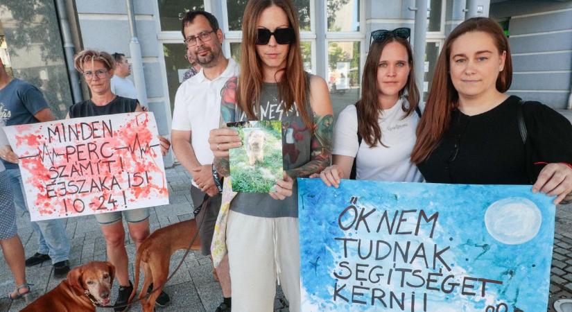 „Ha az embernek van ügyelet, az állatnak miért nincs?” – tüntettek Szombathelyen az éjszakai állatorvosi ügyeletért (fotók)