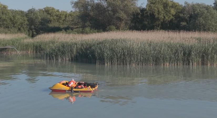 Delfines vízibiciklivel kerüli meg a Balatont a vízimentő