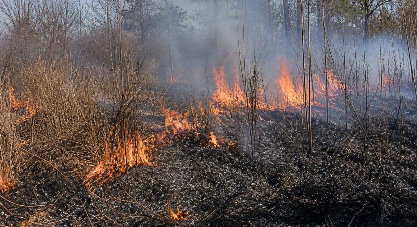 Épületre is átterjedt az avartűz Mikepércsen