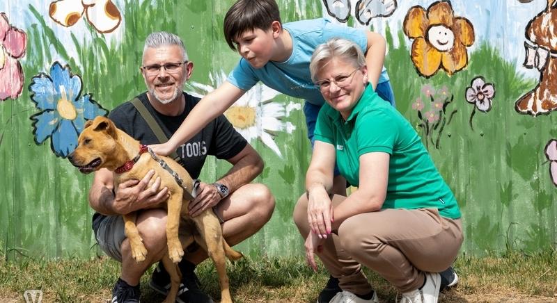 Emlékséta Fantomért – szeretettel és felelősséggel a Meggyeserdei Menedék lakóiért