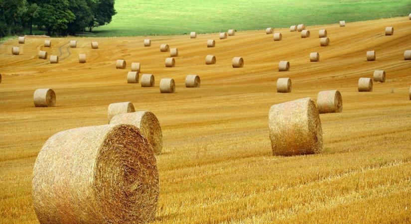 Felülvizsgálja az agrárkamara szabályozását a kormány