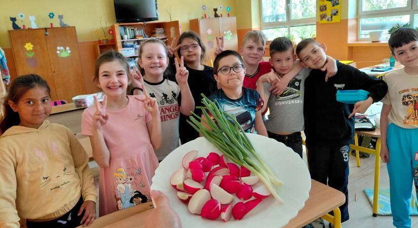 Szorgos munka folyik a csatai iskolakertben