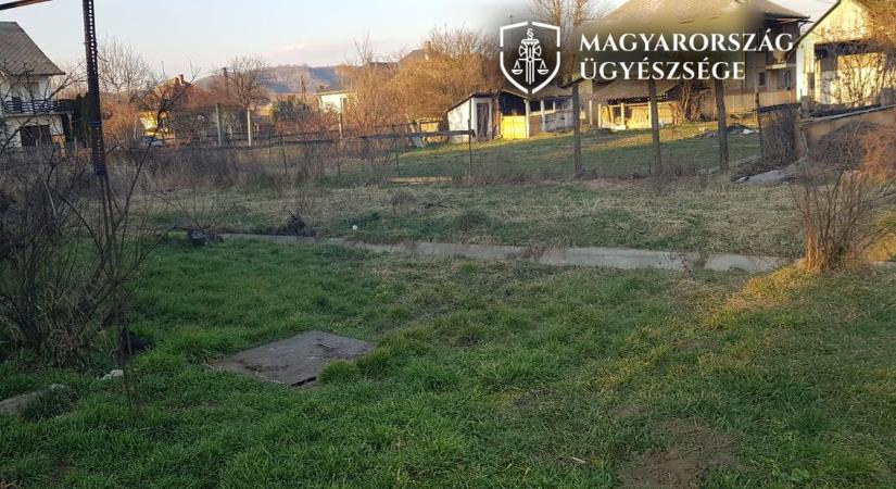 Elvágta a macska nyakát