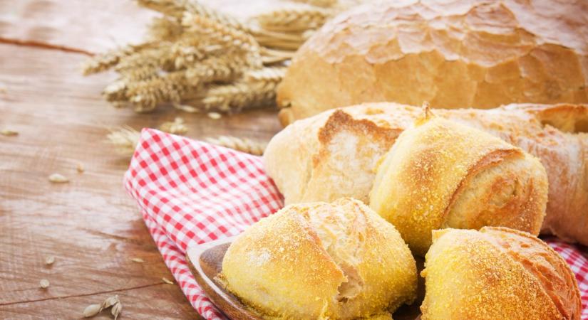 Hogyan lehet megkülönböztetni a fagyasztott kenyeret a frisstől?