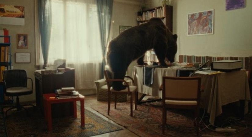 Medvévé változó tinilányok, lángbogarak és első szerelmek – Tíz film a Friss Húsról