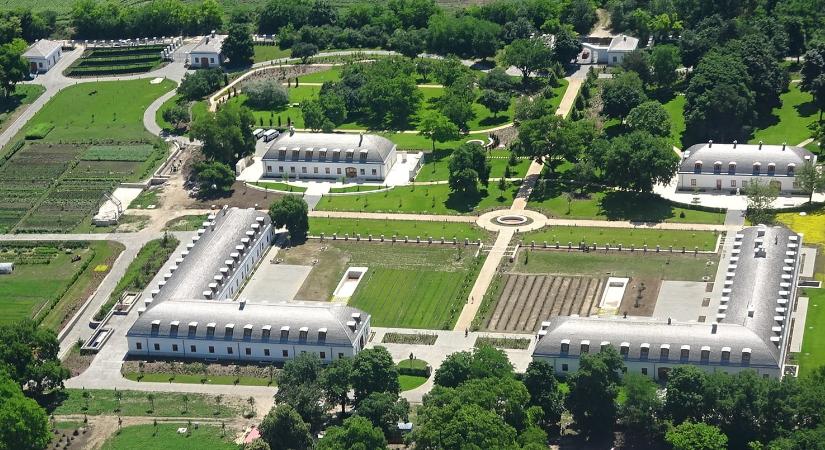 Köddé váltak a zebrák Hatvanpusztán – feljelentés született az ügyben