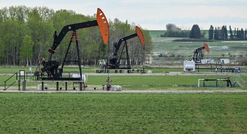 Kanada olyan jó üzletet csinál az olajválsággal, hogy mohóvá vált a kormány