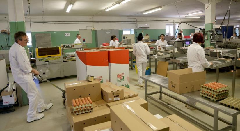 Sok-sok millió forint forog kockán, Nyíregyházán erről adnak tájékoztatást