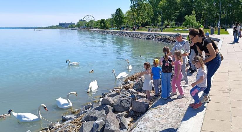 Elkezdődött a háború a Balatonnál, a bőrünkön érezzük majd az eredményét