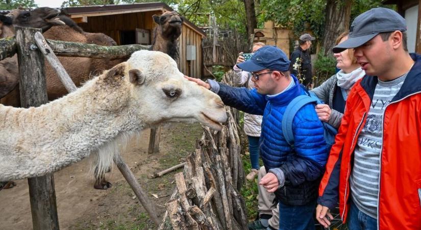 Egy napra elfelejthetik gondjaikat a nehézséggel élők