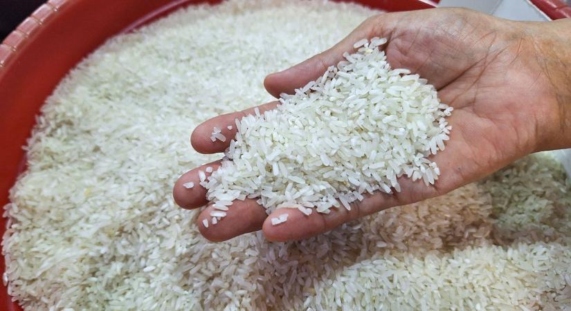 Semmiképp se fogyassz belőle! Veszélyes szennyeződést találtak ebben a népszerű rizsben