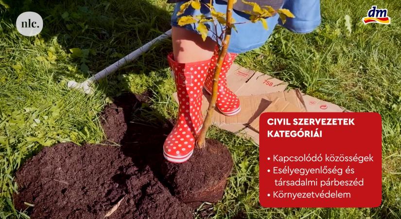 Együtt a jövőért: pályázatot hirdetett a dm